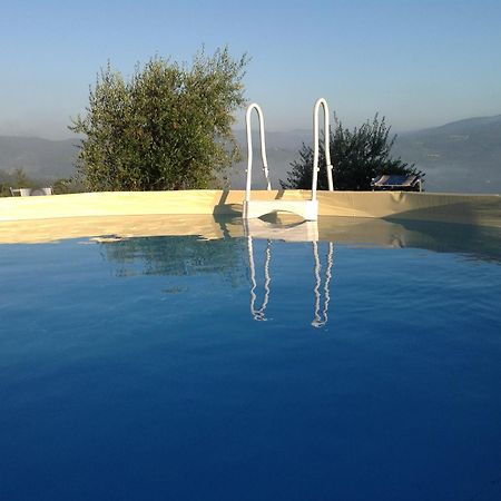Agriturismo Prato Barone Rufina Exterior photo