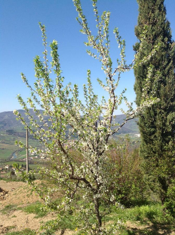 Agriturismo Prato Barone Rufina Exterior photo
